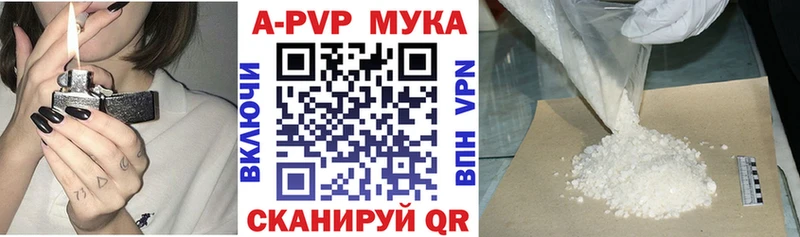 A PVP СК КРИС Анадырь