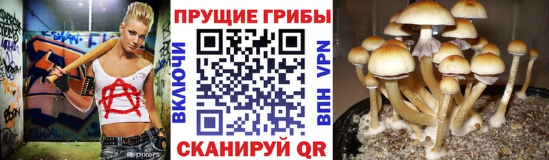 KRAKEN вход  Анадырь  Галлюциногенные грибы мухоморы 